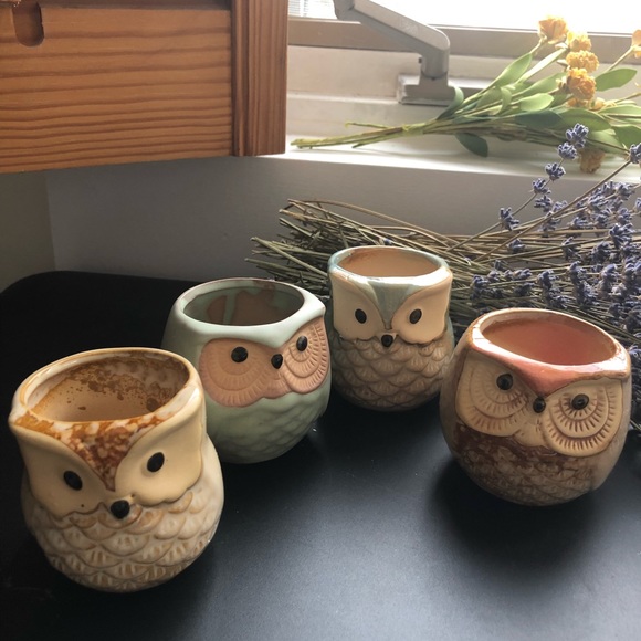 Other - Succulent Plant Pots